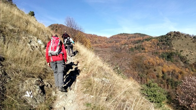 cameringo_20151108_104155